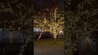 Christmas decorations & lights in Stockholm, Sweden