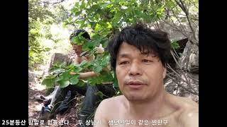 20230618가야산서풍첫비행(서시아빠 친구덕분에....고마워.....)