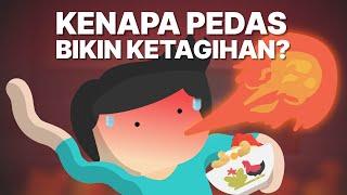 Kenapa Pedas Bikin Ketagihan?