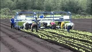 Livestock and food traceability in Québec - MAPAQ\ATQ (PART II)