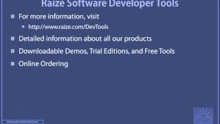 Embarcadero Technology Partner Spotlight - Raize Software