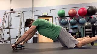 Flex Disc plank Circles
