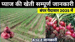 प्याज की खेती | Pyaj ki kheti kaise kare 2024/25 मेंOnion farming, A to Z Video