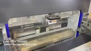 Automatic Die Cutting Machineand Stripping machine