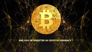 Learn Cryptocurrency Better and Closer | Crypto News | Cryptoknowmics