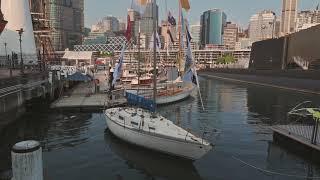 Darling Harbour, Sydney, NSW  Australia | UHD 4K