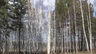 Из серии Ангарские зарисовки. Болеро. Затяжная весна 2010 года.