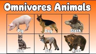 Omnivores animals for kids | Dog , Cat , Bear , Pig