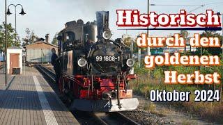 IV K - PLAN-DAMPF | Mit 99 608 & DR-Zug in den goldenen Herbst | 16./18./19.10.2024