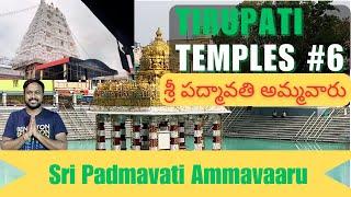 Sri Padmavathi Ammavari Temple Tiruchanur |తిరుచానూరు పద్మావతి ఆలయం|Tirupati Tour| Things To Do