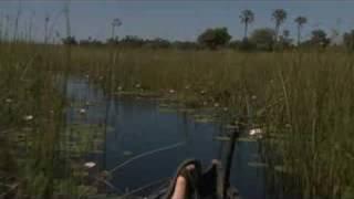 Delta Camp, Okavango Delta, Botswana