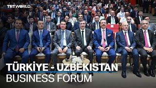 Türkiye and Uzbekistan aim to improve relations