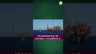 Добыча редких металлов со дна океана / Зачем? #экология #океан #выходесть