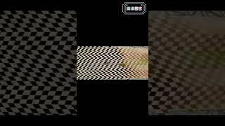 이거 바로 눈치채는 사람 천재! #shorts