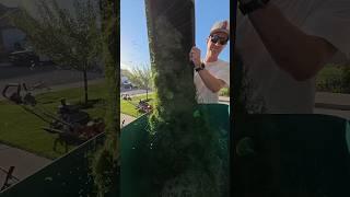Mowing my overgrown grass