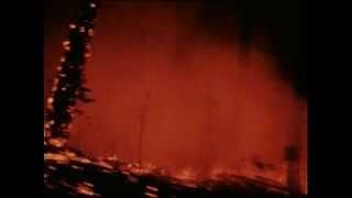 1970 Smokey Bear  "Fires" Ad Council PSA