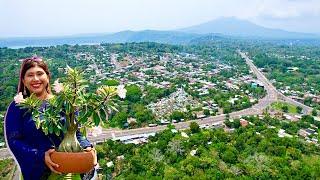 CATARINA  El exótico JARDÍN de NICARAGUA  