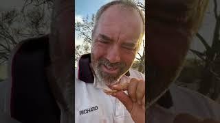 Big gold nugget found in Western Australia Outback with GPZ 7000 over half an ounce