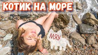 Симеиз. Голубой Залив. Пляж. Кот первый раз на море. Крым сегодня.Yaltafamily vlog