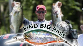 EASY Prespawn Fishing | Tips to Find Big Bass