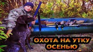 Охота на утку осенью. Охота с чучелами Softplas ALFA