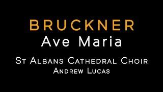 BRUCKNER: Ave Maria, WAB 6 • St Albans Cathedral Choir / Andrew Lucas [FHR143]