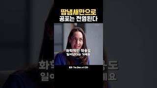 직감을 믿어야 하는 이유, 충격적 실험