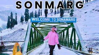 Kashmir Sonmarg Vlog | All Places to Visit | Thajiwas Glacier | Complete Tour Guide