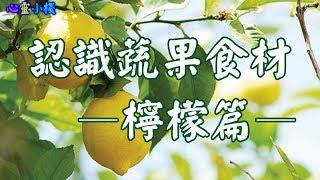 【心靈小棧】蔬果食材之檸檬 Lemon #知識 #教育