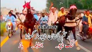 Nachu Horse vs Baaz Horse race 25.8.2024 // Nacho horse and baaz horse race