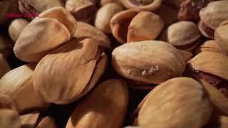 Are You Thinking About Importing Nuts? Turkish Goods is a Perfect Choice!