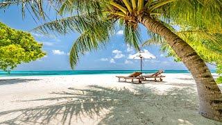 Relaxing Beach Bossa Nova Music for Good Mood