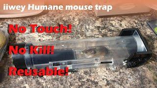 A humane house mouse solution! iiwey humane mouse trap - No kill & No touch!