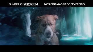 O Apelo Selvagem | TV Spot "Gold 30" | 20th Century Studios Portugal