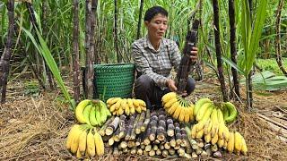 Harvest Sugarcane & Bananas Goes to market sell - Animal Care - Solo Survival