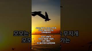 ~ 모모 [김만준]  Song by  CowBoy Tarzan  ༺별빛ll한스푼ঔৣ꧂  2025 0611 Wed A045