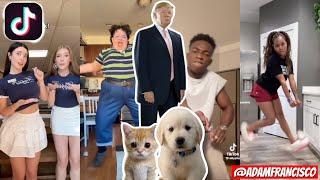 "They're Eating The Dogs, They're Eating The Cats" Trump Remix TIKTOK Compilation