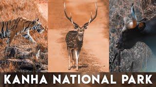 Kanha National Park