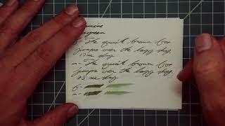 Diamine Evergreen Fountain Pen Ink