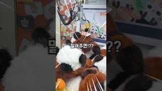 인형뽑기에 100만 원 쓰고 마침내 알아낸 개꿀팁!!