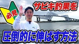 【若洲海浜公園】サビキ釣果の明暗が分かれる理由を釣り場で解説