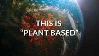 "Plant Based" Products are Destroying the Environment