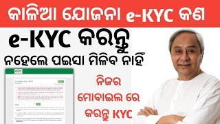 Kalia Yojana e-KYC Process | Kalia Yojana e-KYC complete process