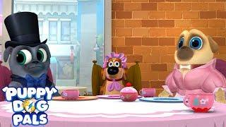 Tea Pup Party! | Puppy Dog Pals | Disney Junior