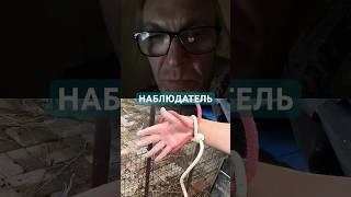 НАБЛЮДАТЕЛЬ #rope #fishing #diy #tutorial #senykay #ятакдумаю #опытдуши