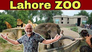 Lahore zoo/ rainy day in Lahore/ iftikhar Ahmed usmani/ historical zoo