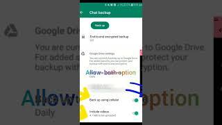 WhatsApp chat backup in Google account and Google drive