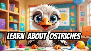 Ostrich facts | Kids Educational