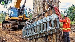 Extreme Dangerous Fastest Big Chainsaw Cutting Tree Machines | Monster Stump Removal Excavator ▶54