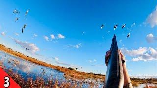 SOLO afternoon DUCK HUNT | Awesome MIXED BAG of Mallards, Gadwall & Pintail